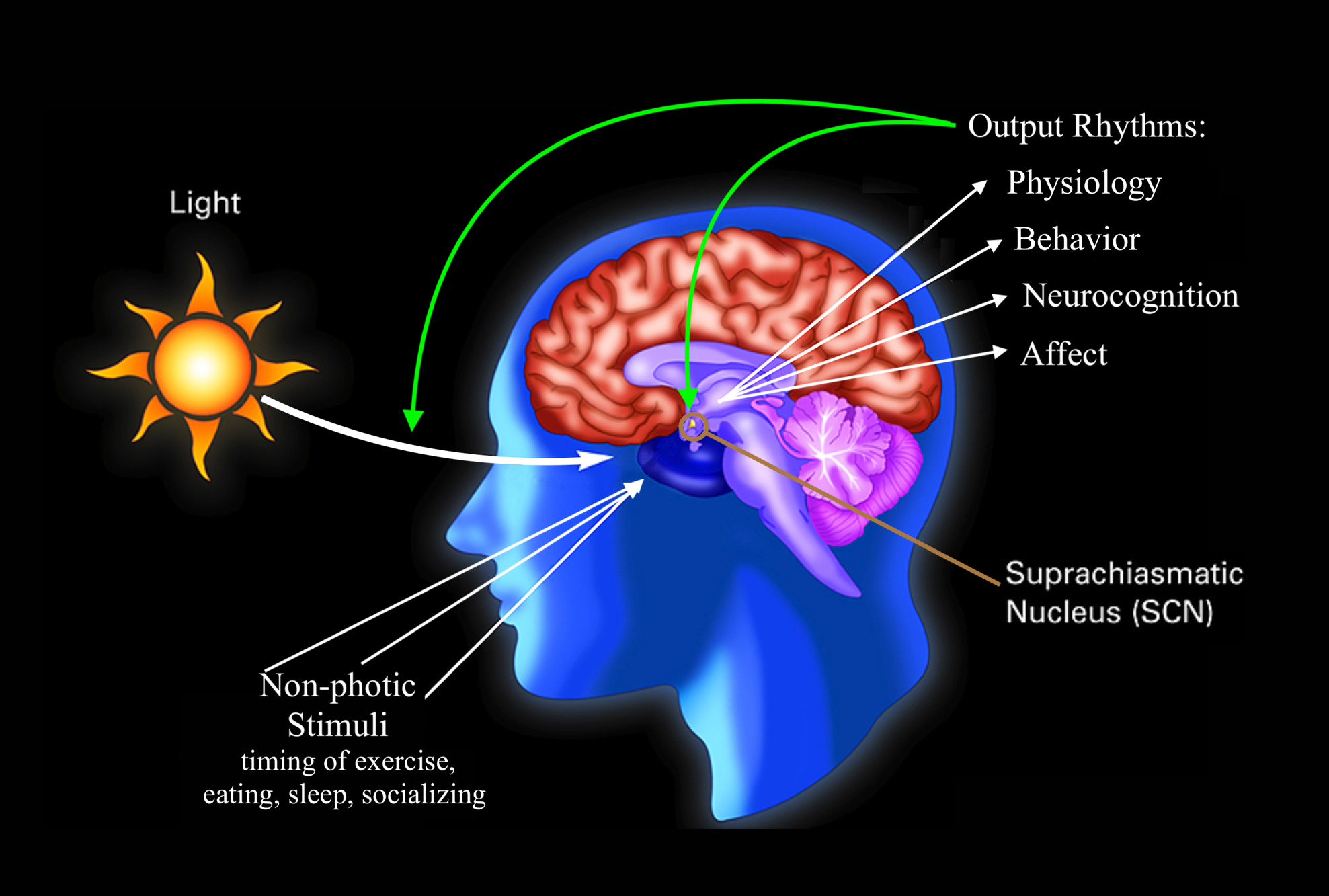 Chronotherapy And Bipolar Disorder - Gateway Psychiatric